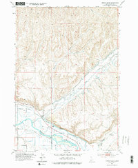 Download a high-resolution, GPS-compatible USGS topo map for Birding Island, ID (1976 edition)