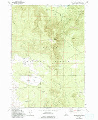 Download a high-resolution, GPS-compatible USGS topo map for Bishop Mountain, ID (1994 edition)