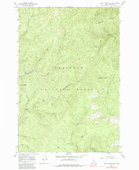 Download a high-resolution, GPS-compatible USGS topo map for Black Hawk Mtn, ID (1985 edition)