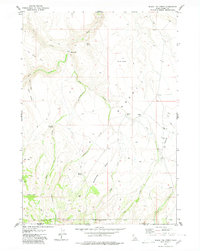 Download a high-resolution, GPS-compatible USGS topo map for Black Leg Creek, ID (1980 edition)