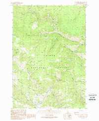 Download a high-resolution, GPS-compatible USGS topo map for Blackbird Creek, ID (1989 edition)