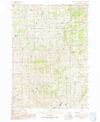Download a high-resolution, GPS-compatible USGS topo map for Blizzard Mountain North, ID (1991 edition)