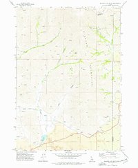 Download a high-resolution, GPS-compatible USGS topo map for Blizzard Mtn South, ID (1976 edition)