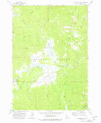 Download a high-resolution, GPS-compatible USGS topo map for Blue Bunch Mtn, ID (1977 edition)
