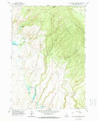 Download a high-resolution, GPS-compatible USGS topo map for Blue Creek Reservoir, ID (1967 edition)