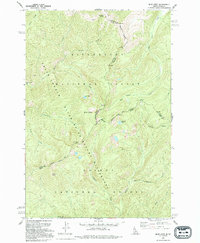 Download a high-resolution, GPS-compatible USGS topo map for Blue Joint, ID (1994 edition)