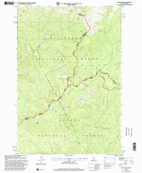 Download a high-resolution, GPS-compatible USGS topo map for Blue Joint, ID (2002 edition)