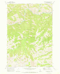 Download a high-resolution, GPS-compatible USGS topo map for Boardman Creek, ID (1973 edition)