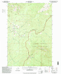 Download a high-resolution, GPS-compatible USGS topo map for Boston Mountain, ID (1999 edition)