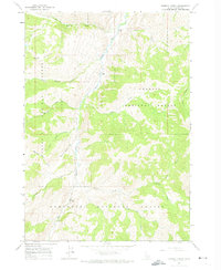 preview thumbnail of historical topo map of Custer County, ID in 1963
