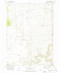 Download a high-resolution, GPS-compatible USGS topo map for Brace Flat, ID (1977 edition)