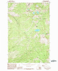 preview thumbnail of historical topo map of Clearwater County, ID in 1985