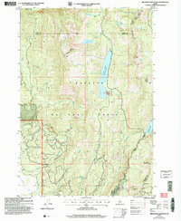 Download a high-resolution, GPS-compatible USGS topo map for Brundage Mountain, ID (2007 edition)