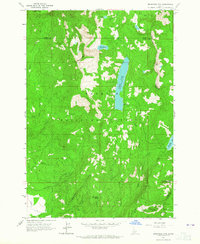 Download a high-resolution, GPS-compatible USGS topo map for Brundage Mtn, ID (1965 edition)