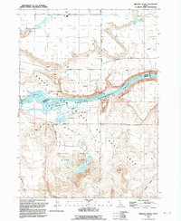 Download a high-resolution, GPS-compatible USGS topo map for Bruneau Dunes, ID (1992 edition)