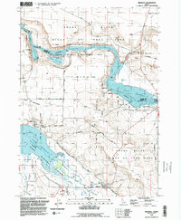 Download a high-resolution, GPS-compatible USGS topo map for Bruneau, ID (1992 edition)