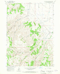 Download a high-resolution, GPS-compatible USGS topo map for Buckhorn Canyon, ID (1967 edition)