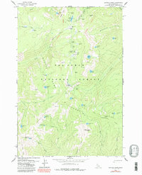 Download a high-resolution, GPS-compatible USGS topo map for Buffalo Hump, ID (1987 edition)