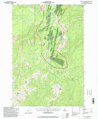 Download a high-resolution, GPS-compatible USGS topo map for Buffalo Hump, ID (1999 edition)