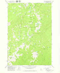 Download a high-resolution, GPS-compatible USGS topo map for Buffalo Hump, ID (1979 edition)