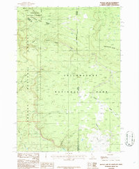 Download a high-resolution, GPS-compatible USGS topo map for Buffalo Lake NE, ID (1986 edition)