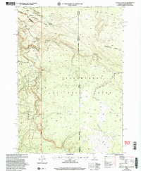 Download a high-resolution, GPS-compatible USGS topo map for Buffalo Lake NE, ID (2005 edition)