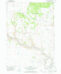 preview thumbnail of historical topo map of Owyhee County, ID in 1977