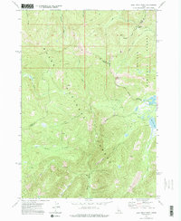 Download a high-resolution, GPS-compatible USGS topo map for Bull Trout Point, ID (1975 edition)