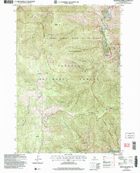 Download a high-resolution, GPS-compatible USGS topo map for Burgdorf Summit, ID (2007 edition)