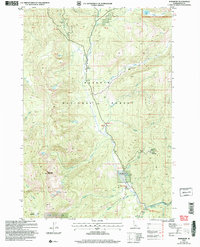 Download a high-resolution, GPS-compatible USGS topo map for Burgdorf, ID (2007 edition)