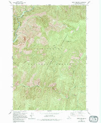 Download a high-resolution, GPS-compatible USGS topo map for Burnt Strip Mtn, ID (1995 edition)