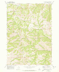 Download a high-resolution, GPS-compatible USGS topo map for Buttercup Mtn, ID (1973 edition)