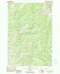 Download a high-resolution, GPS-compatible USGS topo map for Butterfield Gulch, ID (1990 edition)