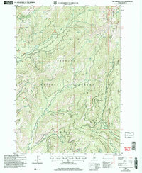 Download a high-resolution, GPS-compatible USGS topo map for Butterfield Gulch, ID (2007 edition)