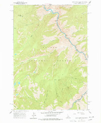 Download a high-resolution, GPS-compatible USGS topo map for Butts Creek Point, ID (1977 edition)