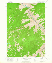 Download a high-resolution, GPS-compatible USGS topo map for Butts Creek Point, ID (1964 edition)