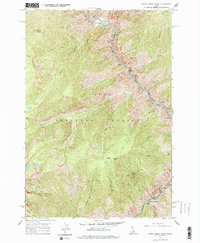 Download a high-resolution, GPS-compatible USGS topo map for Butts Creek Point, ID (1977 edition)