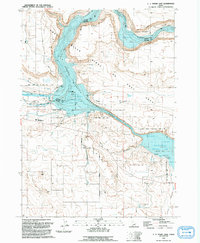 Download a high-resolution, GPS-compatible USGS topo map for CJ Strike Dam, ID (1992 edition)