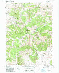 Download a high-resolution, GPS-compatible USGS topo map for Cache Peak, ID (1993 edition)