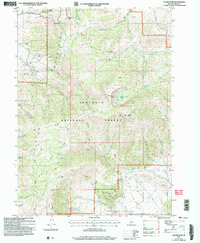 Download a high-resolution, GPS-compatible USGS topo map for Cache Peak, ID (2006 edition)