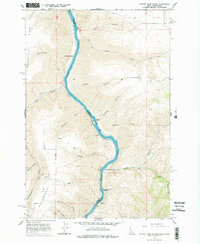 Download a high-resolution, GPS-compatible USGS topo map for Captain John Rapids, ID (1978 edition)