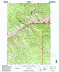 Download a high-resolution, GPS-compatible USGS topo map for Carey Dome, ID (1999 edition)