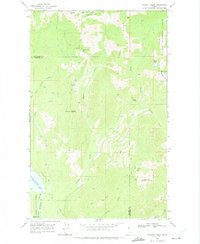 Download a high-resolution, GPS-compatible USGS topo map for Caribou Creek, ID (1975 edition)