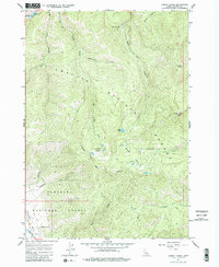 Download a high-resolution, GPS-compatible USGS topo map for Casino Lakes, ID (1984 edition)