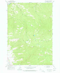 Download a high-resolution, GPS-compatible USGS topo map for Casino Lakes, ID (1977 edition)