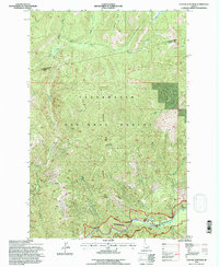 Download a high-resolution, GPS-compatible USGS topo map for Cayuse Junction, ID (1997 edition)