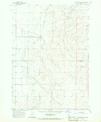 Download a high-resolution, GPS-compatible USGS topo map for Cedar Butte SW, ID (1965 edition)