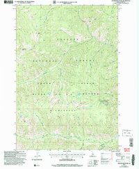 Download a high-resolution, GPS-compatible USGS topo map for Center Mountain, ID (2007 edition)