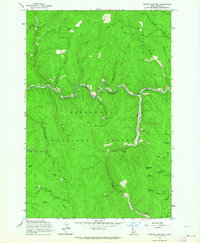 Download a high-resolution, GPS-compatible USGS topo map for Center Star Mtn, ID (1964 edition)