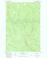 Download a high-resolution, GPS-compatible USGS topo map for Center Star Mtn, ID (1984 edition)
